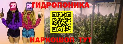 apvp Апшеронск