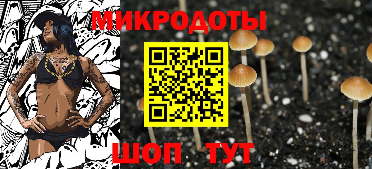 Азнакаево  купить   Вход с VPN  Псилоцибиновые грибы прущие грибы 